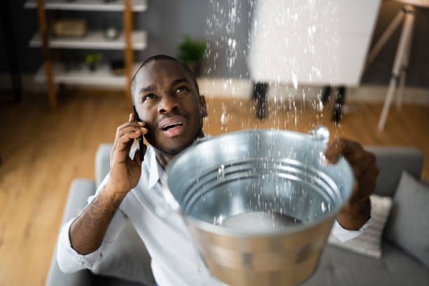 Best Water Damage Insurance Claim Assistance in USA